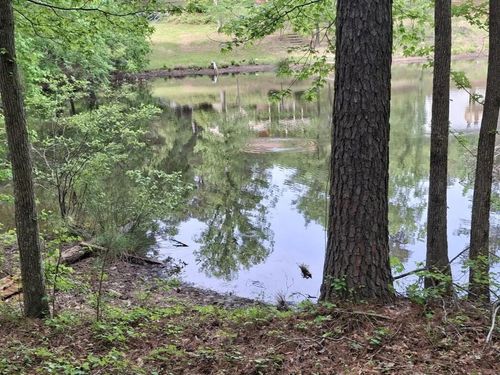 000-B Hummingbird Drive, Trenton, SC, 29847 | Card Image