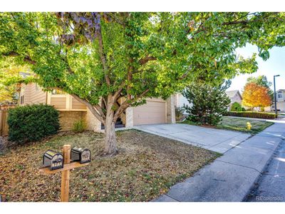 4778 N Bearlily Way, House other with 3 bedrooms, 2 bathrooms and null parking in Castle Rock CO | Image 2