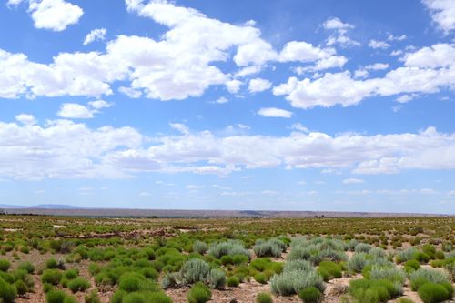 Lot 3 Rio Grande Estates, Veguita, NM, 87062 | Card Image