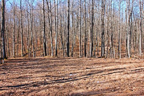 W2352 Eagle Nest Rd, SARONA, WI, 54870 | Card Image