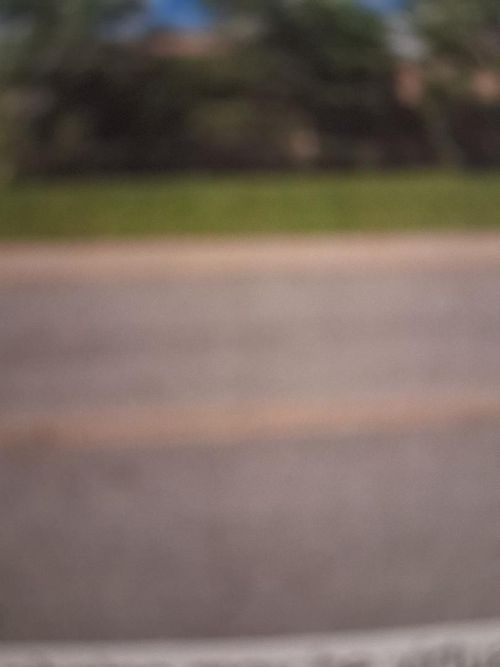 9259 S Cottage Grove Ave, Chicago, IL, 60619-7705 | Card Image