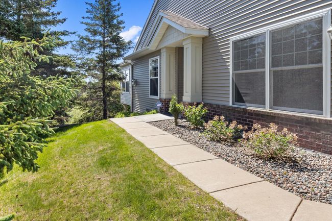 North-facing entrance is protected by a wall of mature evergreen. | Image 32