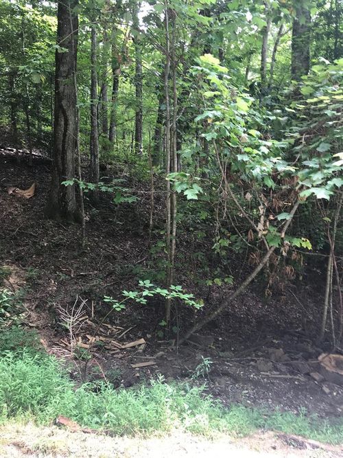 Lot 8 Vista Loop, Topton, NC, 28781 | Card Image