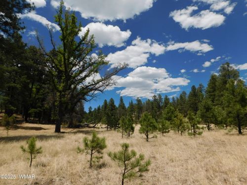 10 N 2310, Alpine, AZ, 85920 | Card Image