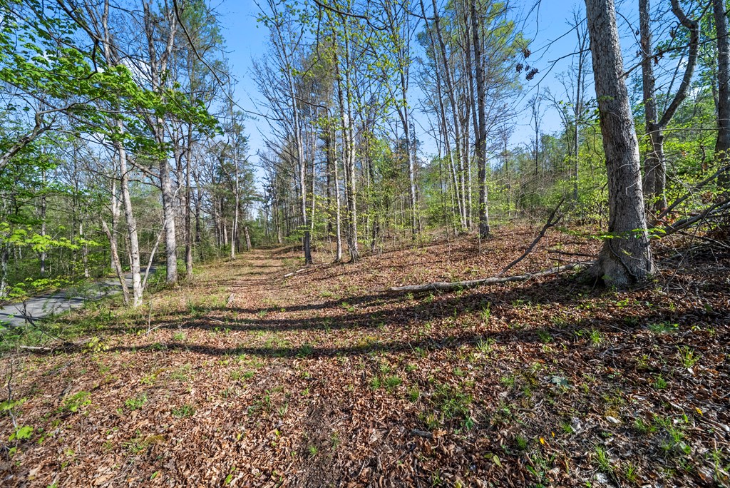 Land in Chillicothe 3