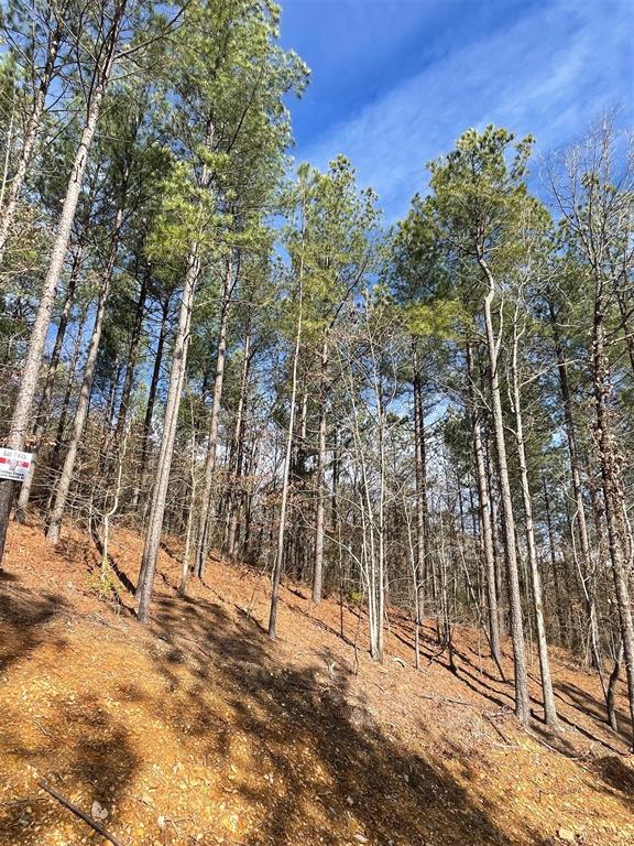 Land in Broken Bow 3