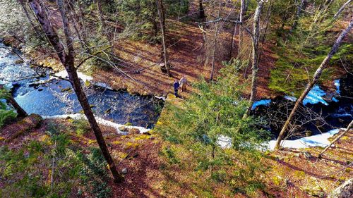 1021 Pine Kill Rd, Wurtsboro, NY, 12790-8201 | Card Image