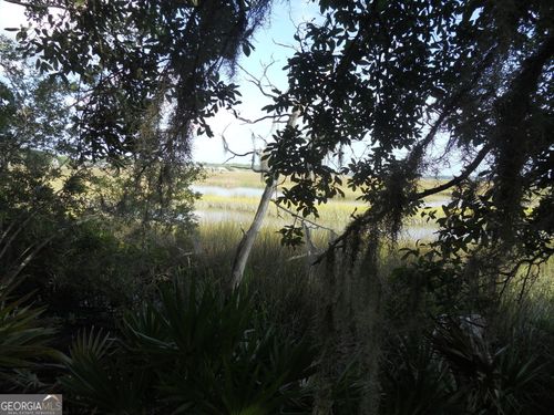 0 Woodstork Pl, KINGSLAND, GA, 31548 | Card Image