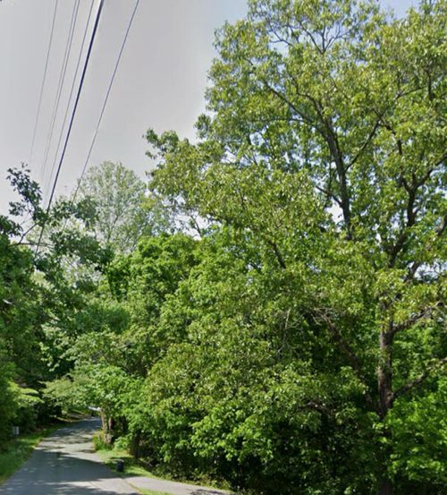 0 Tinker Bell Cir, Flintstone, GA, 30725 | Card Image