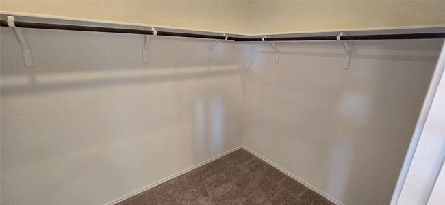 Master spacious closet featuring carpet floors | Image 22