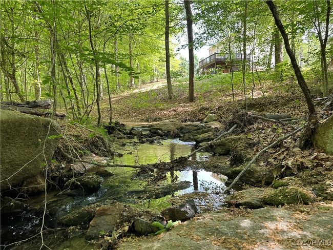 View of nature | Image 47