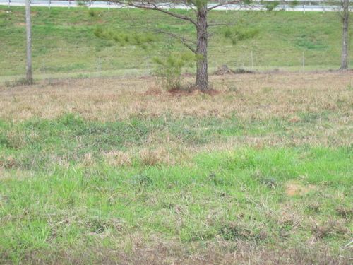 13 Josie Dr, Ellisville, MS, 39437-4800 | Card Image
