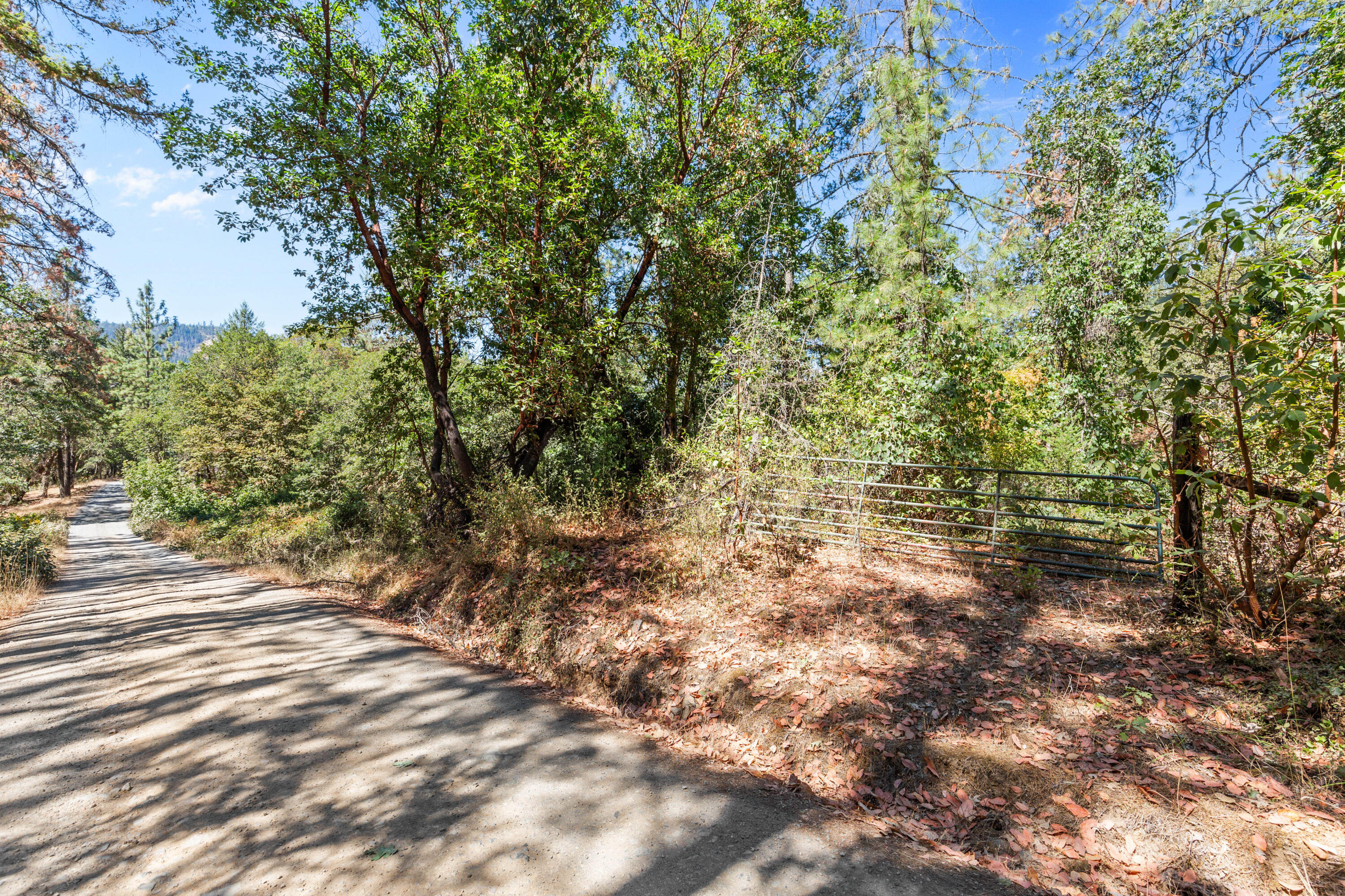 Land in Applegate