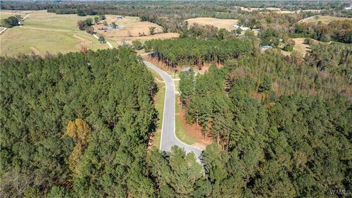 18 Stormi Way, Berry, AL, 35546 | Card Image