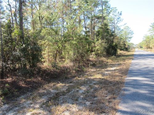 0000 Sw Beaver Dr, DUNNELLON, FL, 34431 | Card Image