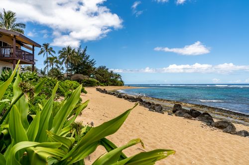 h1-5-7130 Kuhio Hwy, HANALEI, HI, 96714 | Card Image
