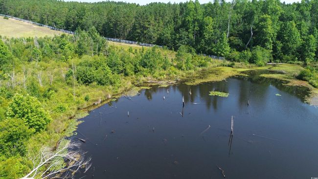 Water view with a heavily wooded area | Image 11