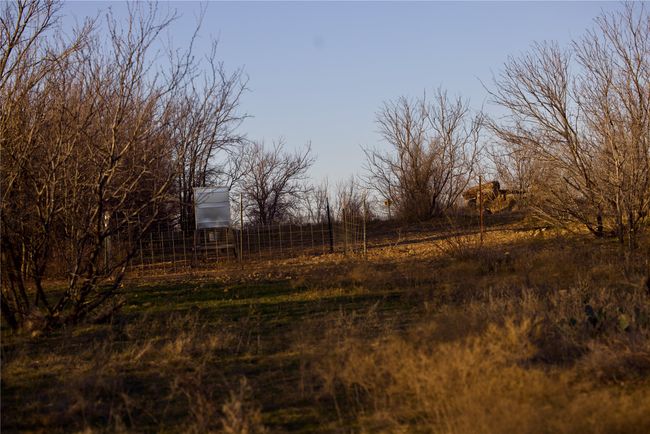 View of yard | Image 16