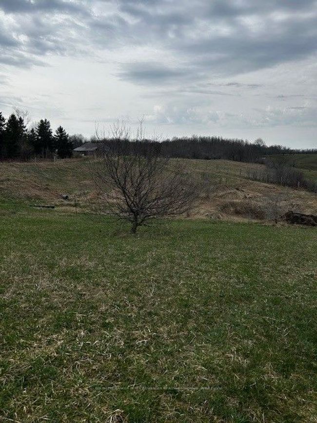 207 Concession Rd 2, House other with 6 bedrooms, 5 bathrooms and 10 parking in Paisley ON | Image 5
