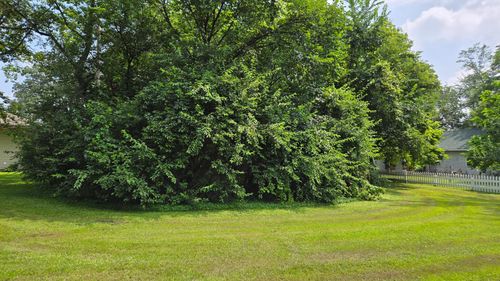 TBD Bluff St, Clearwater, MN, 55320 | Card Image