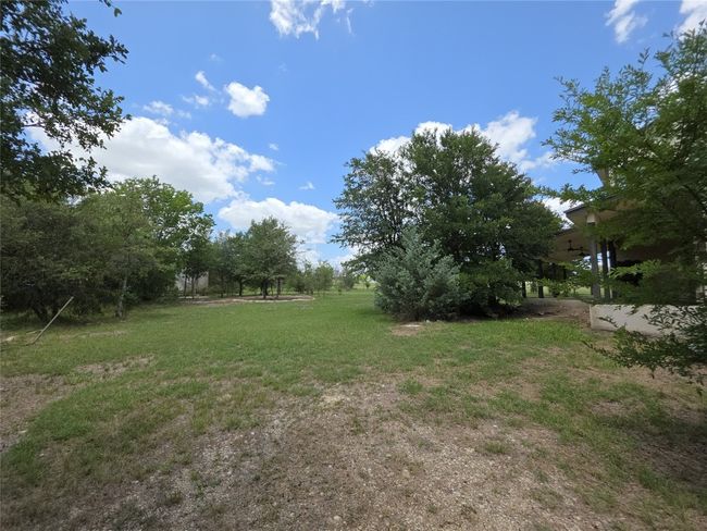 View of grassy yard | Image 30