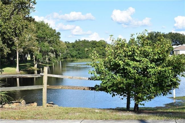 11 S Heron Creek Loop, House other with 2 bedrooms, 2 bathrooms and 1 parking in INVERNESS FL | Image 23