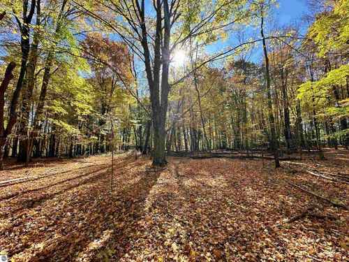 UA Timberline Drive, Thompsonville, MI, 49683 | Card Image