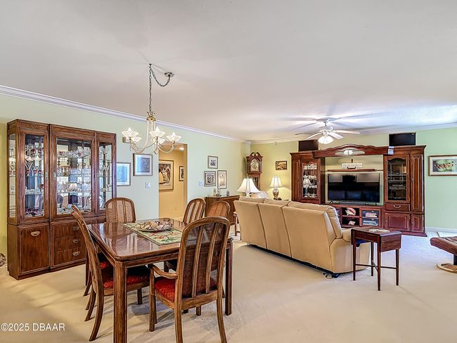Dining Room / Living Room | Image 14