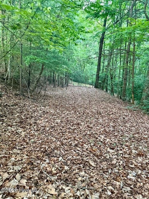 Tbd Lot 43 Pine Cove Ln, Murphy, NC, 28906 | Card Image