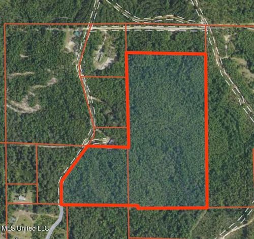 44+/- Ac Burnis Havard Rd, Perkinston, MS, 39573 | Card Image