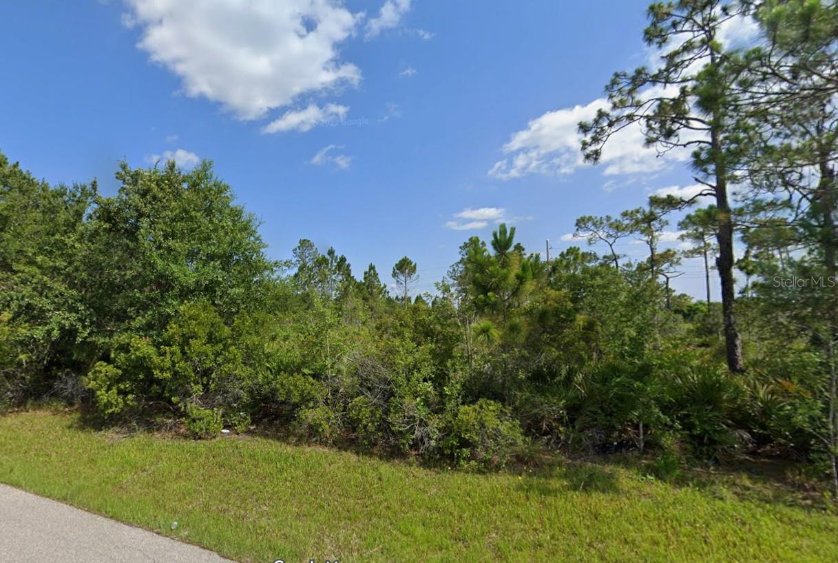 Land in PUNTA GORDA 2