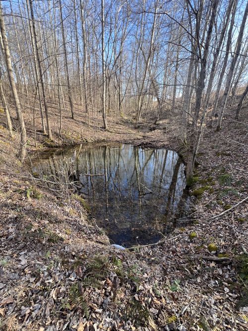 1716 Pleasant Ridge Rd, Goodspring, TN, 38460-5255 | Card Image