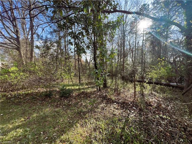 101 N Wilson St, House other with 4 bedrooms, 2 bathrooms and null parking in Madison NC | Image 6