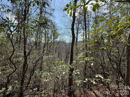 00 Line Runner Ridge Rd, Rosman, NC, 28772 | Card Image