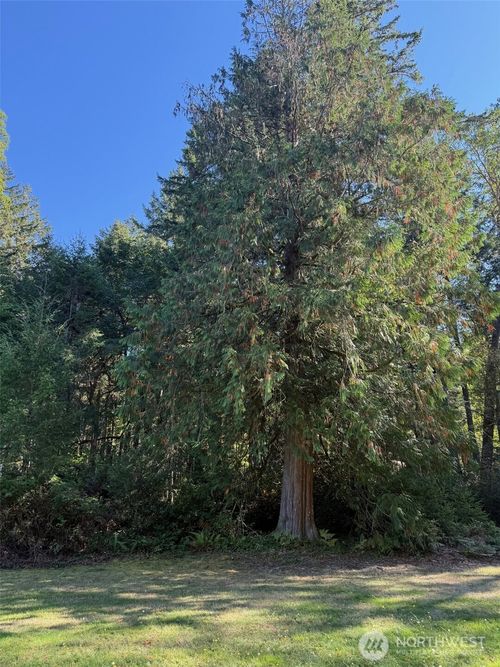 17430 27th St Sw, Lakebay, WA, 98349 | Card Image
