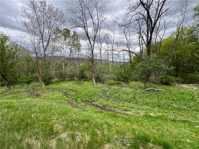 0 Short Rd, Home with 0 bedrooms, 0 bathrooms and null parking in Spencer NY | Image 10