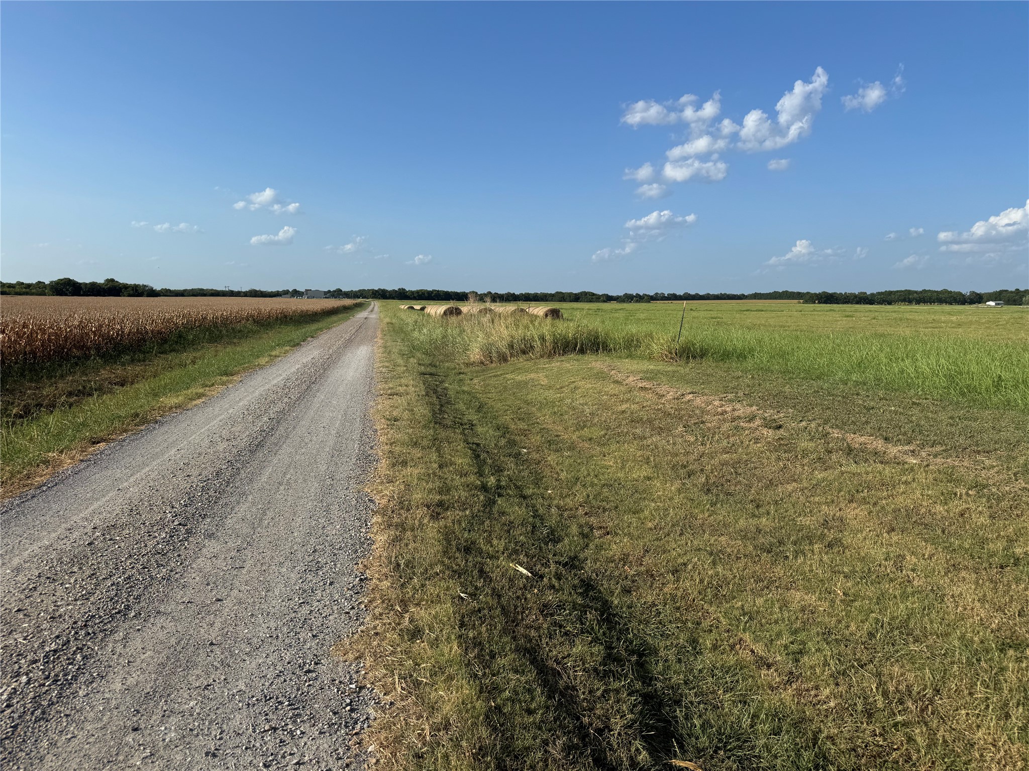 Land in Leonard 4