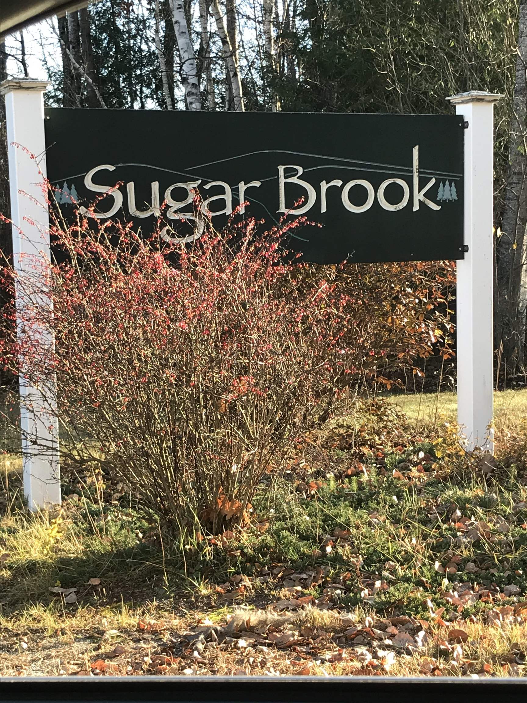 Brook View Rd, Newport, NH 03773