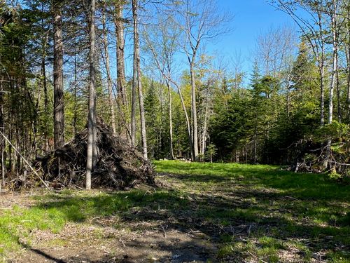 2 Tumbledown Lane, Greenville, ME, 04441 | Card Image