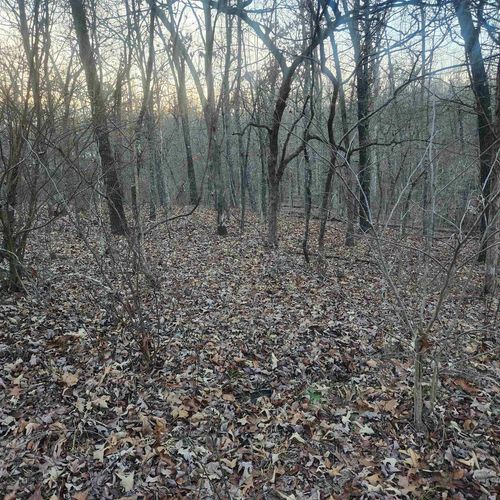 L-08, B-24 Piegan Drive, Cherokee Village, AR, 72529 | Card Image