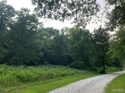 0 Staghorn Ln, Wright City, MO, 63390 | Card Image