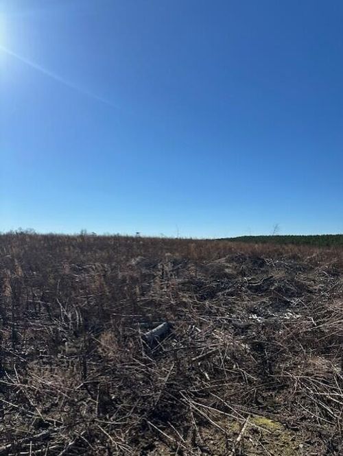 4 N 50th Ave, Gruetli Laager, TN, 37339-4311 | Card Image