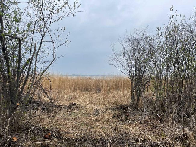 Lot 9 Block 3 Summerhaven, Home with 0 bedrooms, 0 bathrooms and null parking in Rural Wetaskiwin No. 10, County Of AB | Image 5
