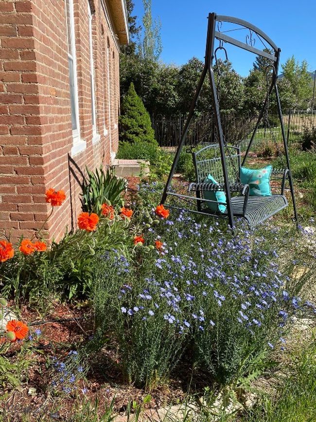 flowers and yard swing | Image 15