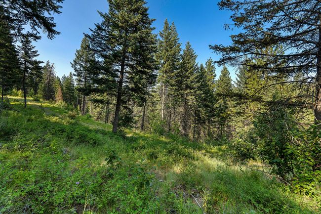 48 Bridle Ct, Home with 0 bedrooms, 0 bathrooms and null parking in Bigfork MT | Image 27