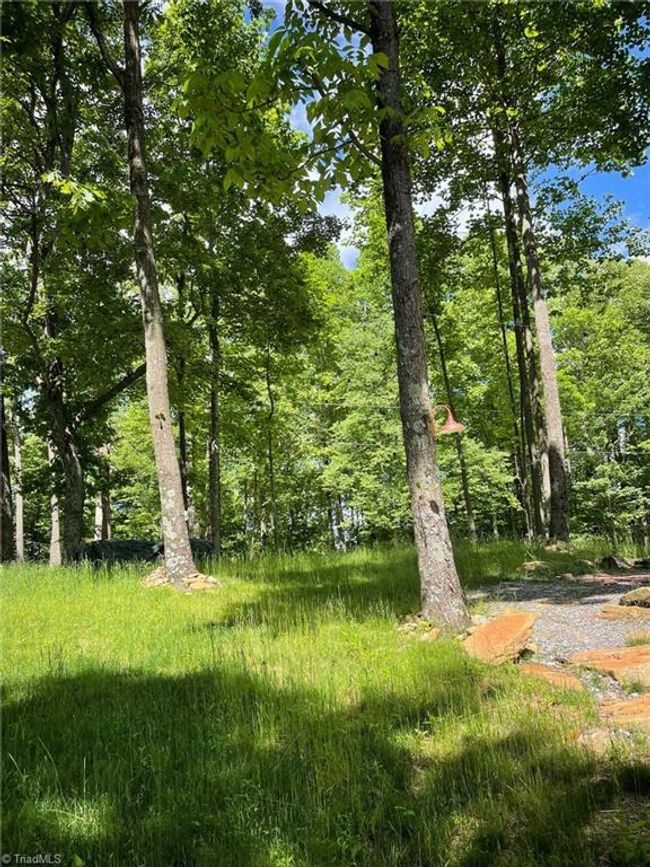 15 Dogwood Rd, Home with 0 bedrooms, 0 bathrooms and null parking in Moravian Falls NC | Image 9