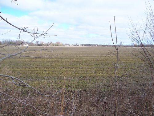 Lot F Carroll Rd Road, Columbus Township, MI, 48063 | Card Image