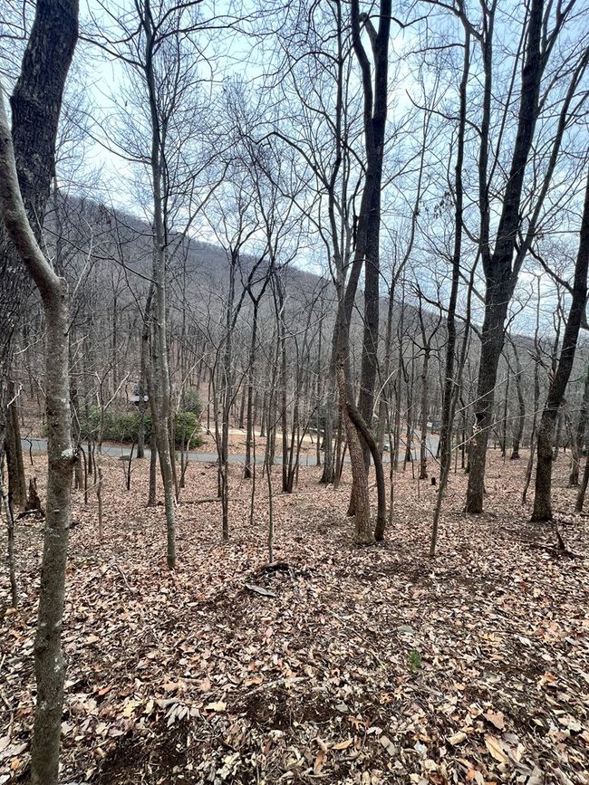 315 Windflower Dr, Home with 0 bedrooms, 0 bathrooms and null parking in Jasper GA | Image 9