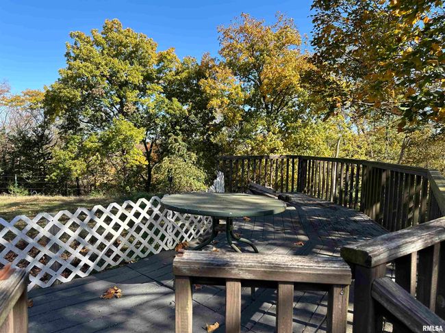 1351 Township Road, House other with 2 bedrooms, 2 bathrooms and null parking in Stronghurst IL | Image 38