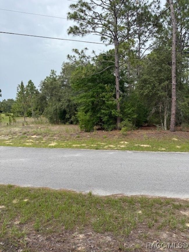 0 Sw 66 Th Loop, Home with 0 bedrooms, 0 bathrooms and null parking in DUNNELLON FL | Image 7